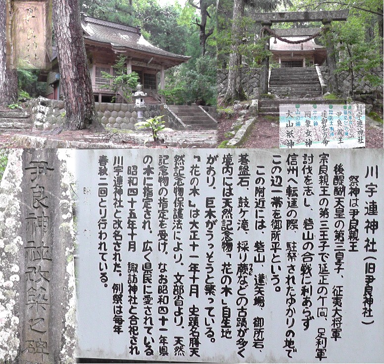 川宇連神社（かおれじんじゃ）。 尹良親王銅像/川宇連神社/ハナノキ自生地