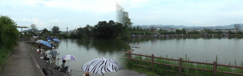 市内でへら鮒を放流し釣り座(池の北側のみ)も設営できる珍しい風越池。平日でも場所が 無い程の賑わいです。 風越池リンク: へら正館