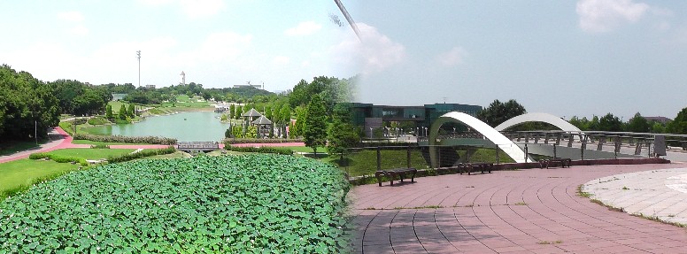 あいち健康の森公園２