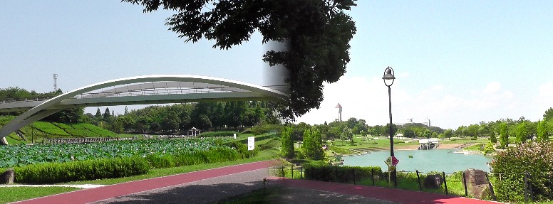 あいち健康の森公園４