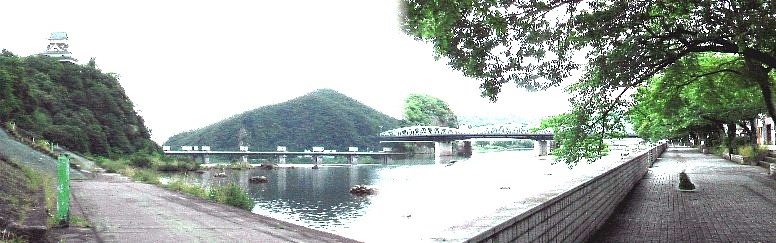 犬山城を見上げる木曽川べりの桜並木の遊歩道。
