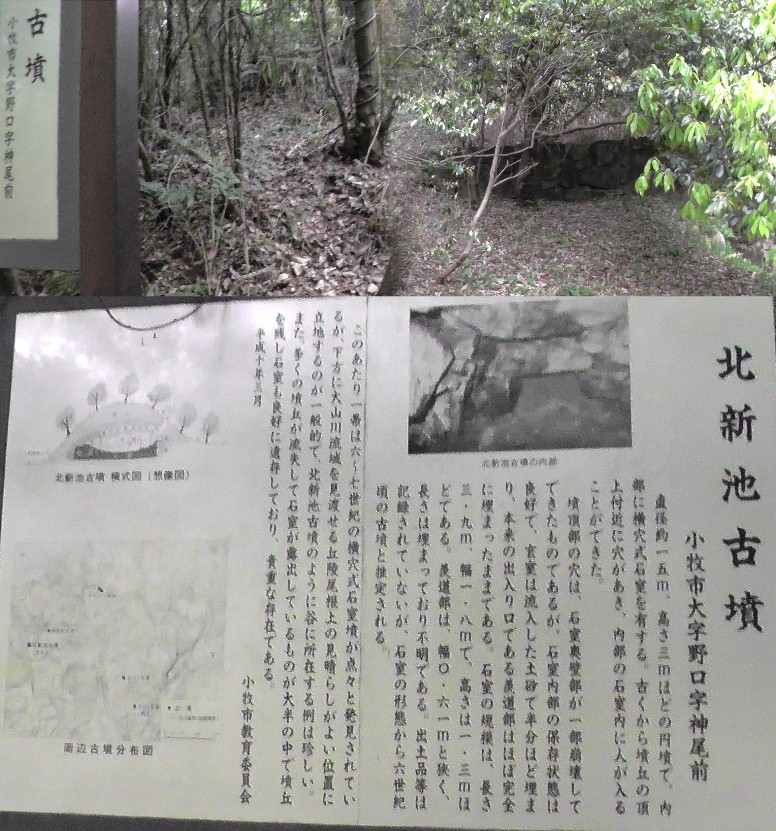 北新池古墳。 北新池古墳/ふれあいの森