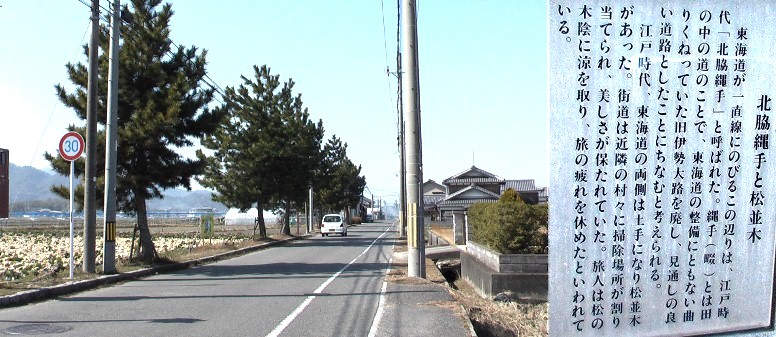 北脇縄手と松並木