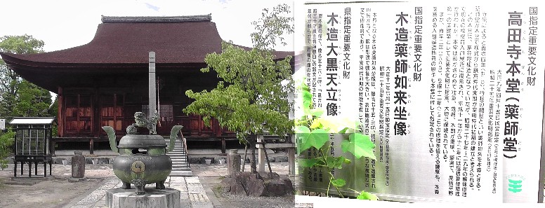 高田寺本堂薬師堂。 高田寺説明拡大 高田寺