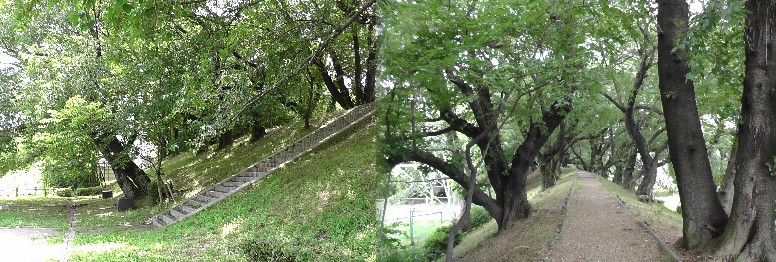 現在の黄金堤。