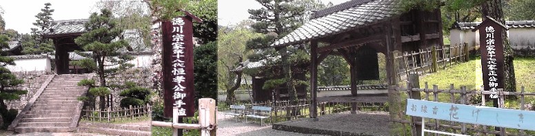 左：徳川宗家１８代恒孝公御手植え松。右:徳川宗家１7代家正公御手植え松。