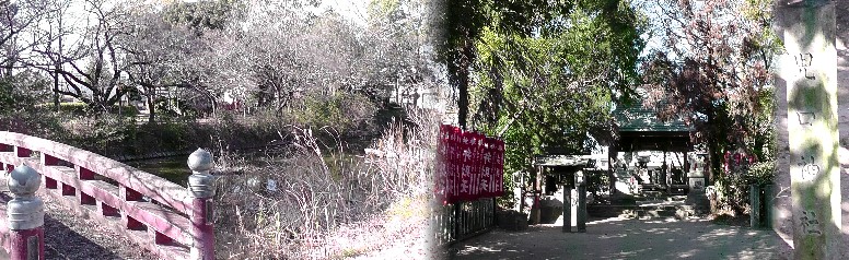 児ノ口神社（右端、中）。 隣接して落別王(おちわけのみこ)の碑があり、鉄柵には菊の紋章が入っています。 左は児ノ口公園。 児ノ口神社 児ノ口神社