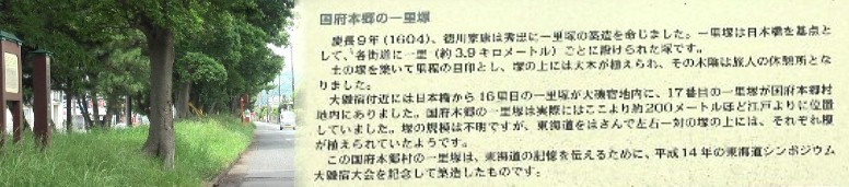後日訪問の17番目の国府本郷一里塚跡。