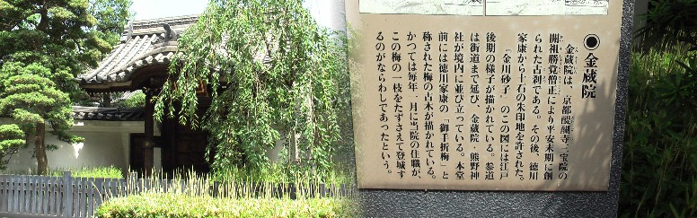 京急仲木戸駅南の金蔵院。