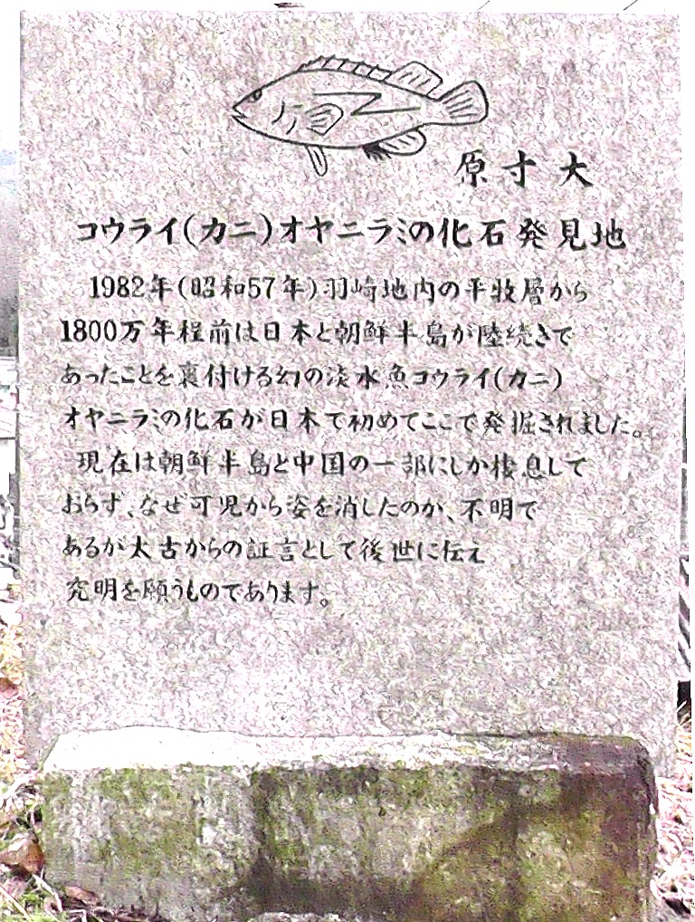 明智城跡の一角に建つ石碑です。 コウライオヤニラミ ウィキメディア・コモンズ経由で・荒川豊蔵資料館 荒川豊蔵資料館 荒川豊蔵資料館