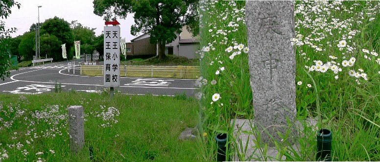 庚申塚。高さ５０～６０ｃｍの小さな石碑のみで雑草に覆われ（左）見落としやすい。 庚申塚
