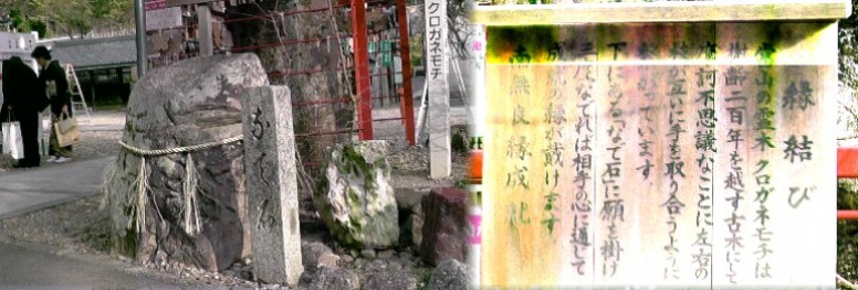 境内の「なで石」縁結びの石。