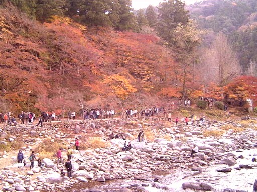 香嵐渓の紅葉１