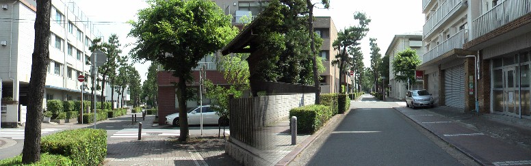 現在の高札場跡付近の旧東海道の街並み。