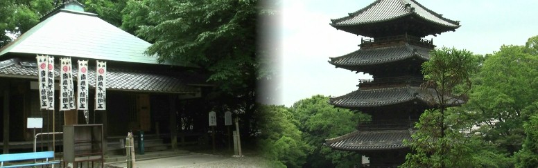 広大な山林の奥に建つ不動明王を祀るお堂。近くの山から見る五重の塔。