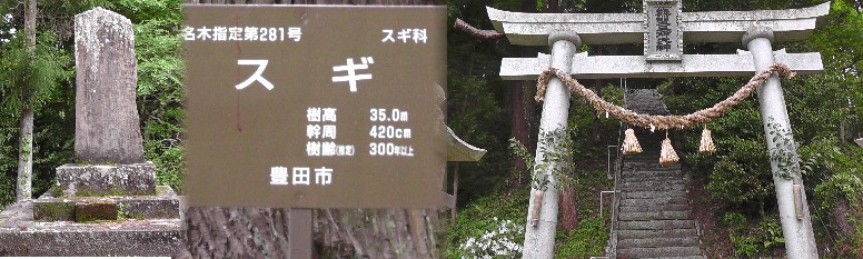 熊野神社。神社奥に市場古城址があったとされています。 リンク：市場古城址 熊野神社