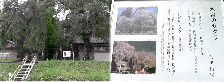 熊野神社。 奥三河 豊根村上黒川花祭 熊野神社/パルとよね