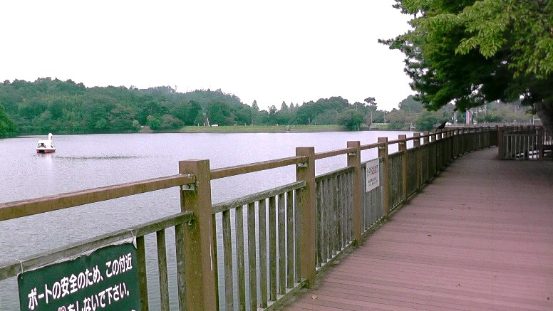 鞍が池公園１。