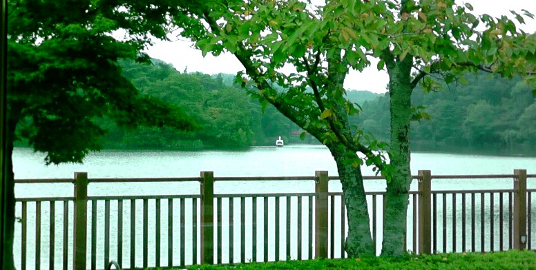 鞍が池公園２。