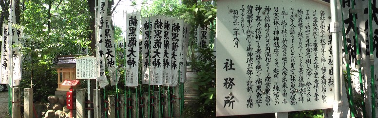 闇の森八幡社境内にある楠黒龍大神の社。