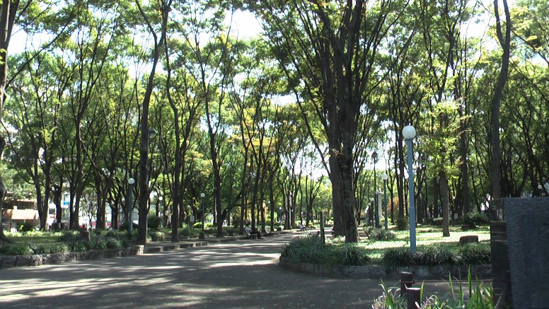 京町通りが久屋大通りを横切るリバーパークの風景。