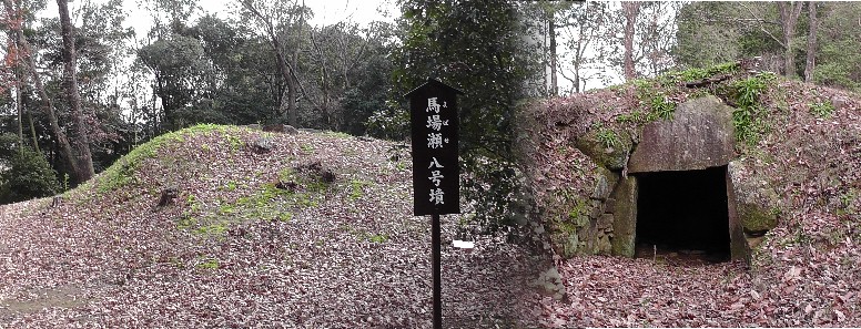 馬場瀬八号墳。