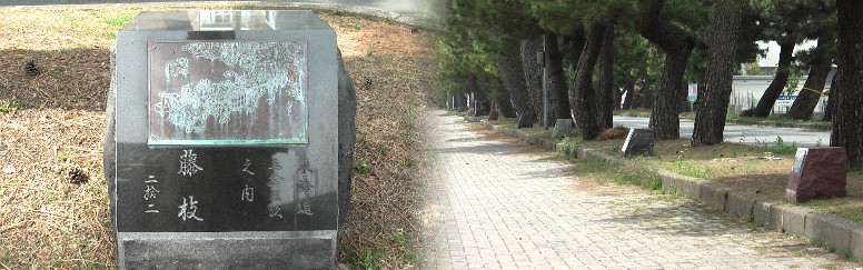 数えて見ないが相当数あるようだ。