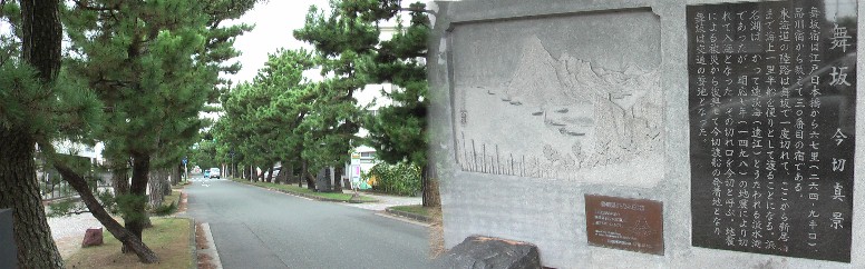 舞阪宿へ通じる松並木。