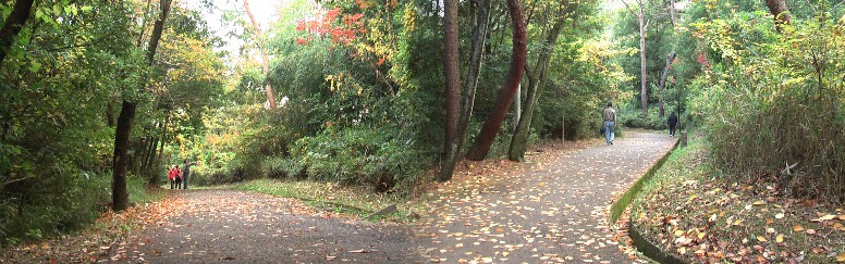 大自然を生かした牧ノ池周遊道路の風景。