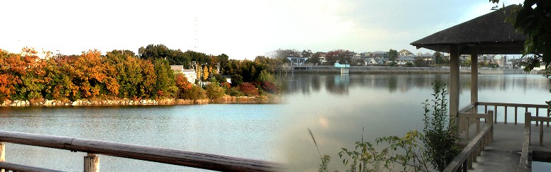 雪見堂から見る対岸の景色。