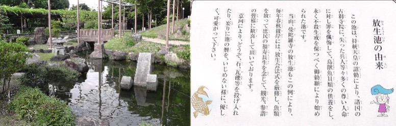 放生池とその由来。