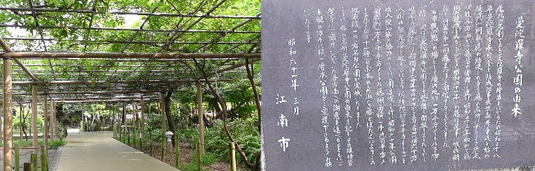 曼陀羅寺公園の藤棚。