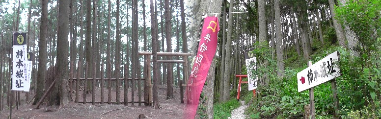 柿本城址（左）。右は満光寺からの登山道。