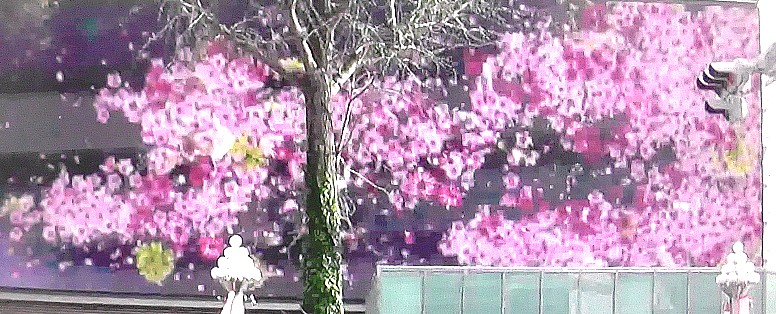 栄駅（東山線、名城線）周辺案内（その１） 名古屋市交通局リンク：栄駅時刻表 市バス時刻表 なごや乗換ナビ 地下鉄所要時間 新しく生まれ変わった久屋大通公園 2022.03.25,撮影。 新しく生まれ変わった久屋大通公園。Hisaya-Odo