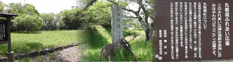 愛知・３８市史跡・社寺めぐりー豊田市(その６)