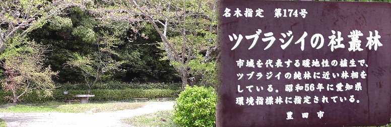 桜馬場跡の北に隣接しています。。