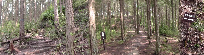 松平城址までの登り道（約１８０ｍ）。