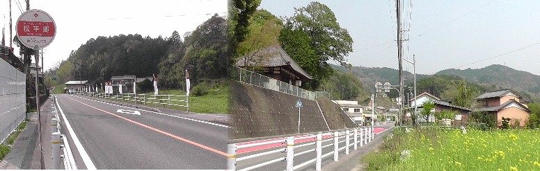 松平郷バス停の東西国道風景。三つ葉葵の幟が風にゆらりゆらりと揺れています（左）。 右左上は長福寺。