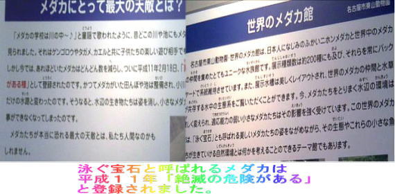 名古屋市(南部) 名古屋市(北部) 名古屋市(東部) 画像をクリックして下さい。 地球 のコラボにより地球をクリックで自由に操作, 愛知のてっぺん豊根村 茶臼山高原スキー場 から~世界のてっぺんエベレストまで 即座に飛んで行けます。南極大陸