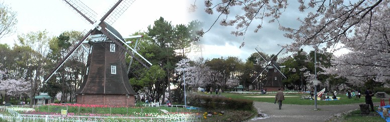 オランダ風車。現在は静態保存です。2013.4.3撮影。