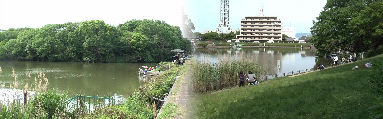 平成２４年５月１３日撮影したもので１１年後も変わらない風景で、１０年後も残して欲しいものです。