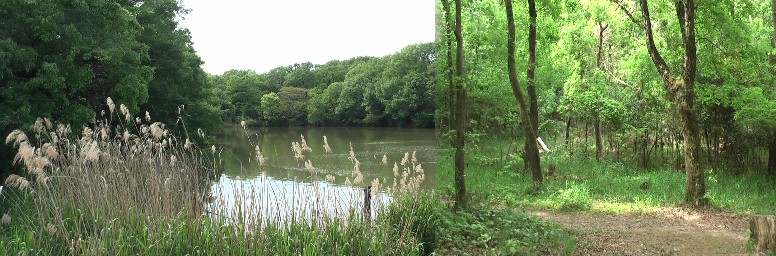 11年前と変わらぬ静けさを続ける明徳池周辺と園内の散策道。