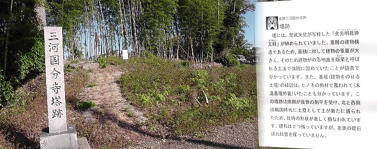 三河国分寺塔跡。