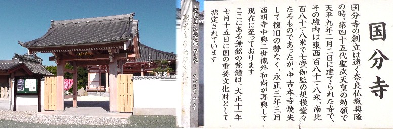 国分寺。三河国分寺跡に隣接しています。