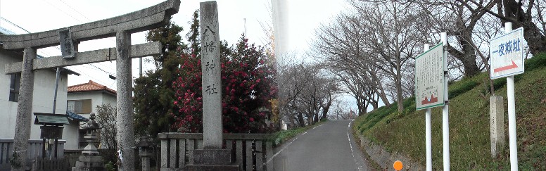 宿場街道が突き当たり、電気店を右折し北へ直進すると、この社で堤防へ上がり西進する。