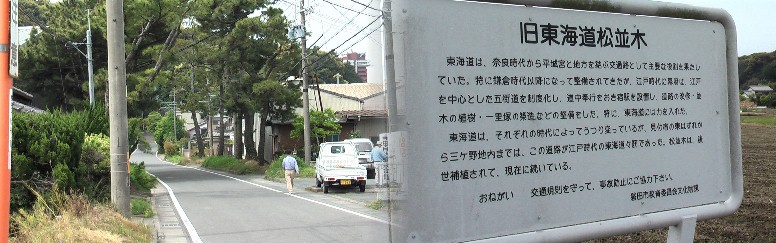 三ケ野地区の松並木。見付宿（京方）方向を見る。江戸方より順に掲載。