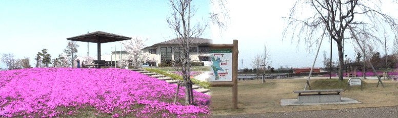 三ツ又池公園。