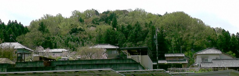 宮石城跡を県道から見る。