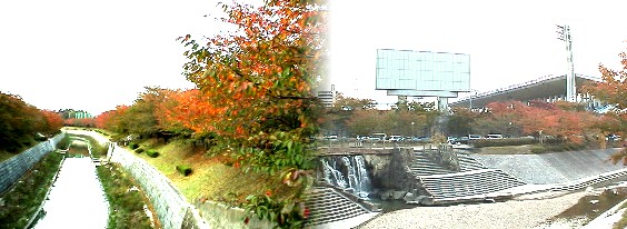 駅から東へ約６００メートルには２回の国体が開催された瑞穂陸上競技場 (右)があります。他には瑞穂ラグビー場、野球場、北陸上競技場、プール などがあります。またこの競技場の中を流れる山崎川の両岸の桜並木は北 へ約２．５キロ石川橋まで市内一番の