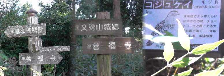 文殊山城址から善福寺へ下る途中の案内標識など。
